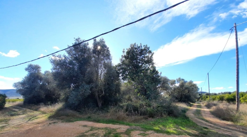 Tarragona - Ulldecona - 5842m2