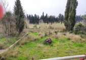 Sòl urbà en venda a la España, Ulldecona, ref.: TR54482 foto