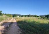 Земля на продажу у города Ulldecona Фото