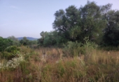 Земля на продажу у города Ulldecona Фото