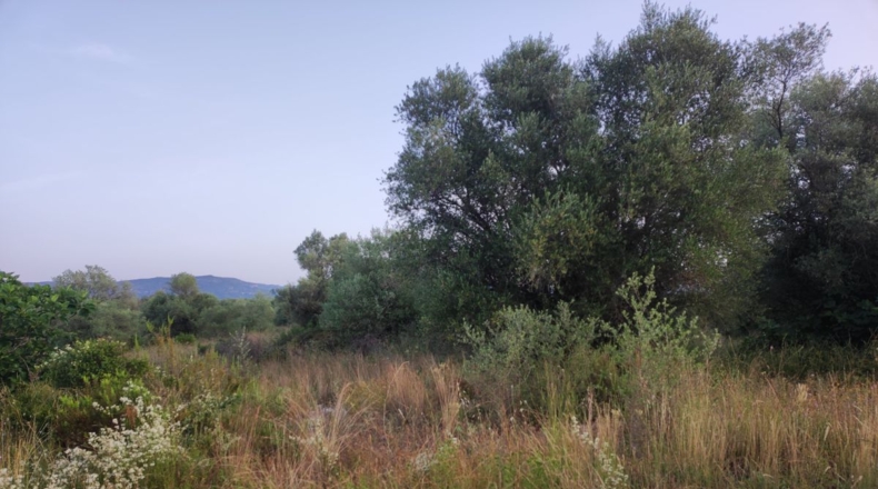 Tarragona - Ulldecona - 13533m2