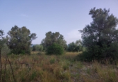 Земля на продажу у города Ulldecona Фото