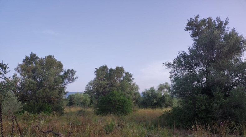 Tarragona - Ulldecona - 13533m2