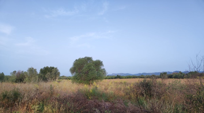 Tarragona - Ulldecona - 13533m2