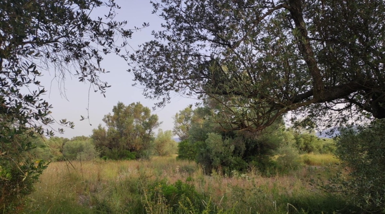 Tarragona - Ulldecona - 13533m2