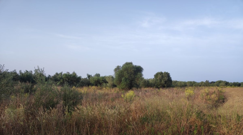 Tarragona - Ulldecona - 13533m2