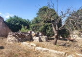 Urban land for sale on España, Ulldecona, ref: TR50918 photo
