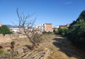 Urban land for sale on España, Ulldecona, ref: TR50918 photo