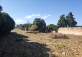 Urban land for sale on España, Ulldecona, ref: TR50918 photo