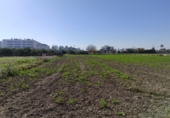 Land suitable for development for sale in Deltebre ref: TR110682 photo