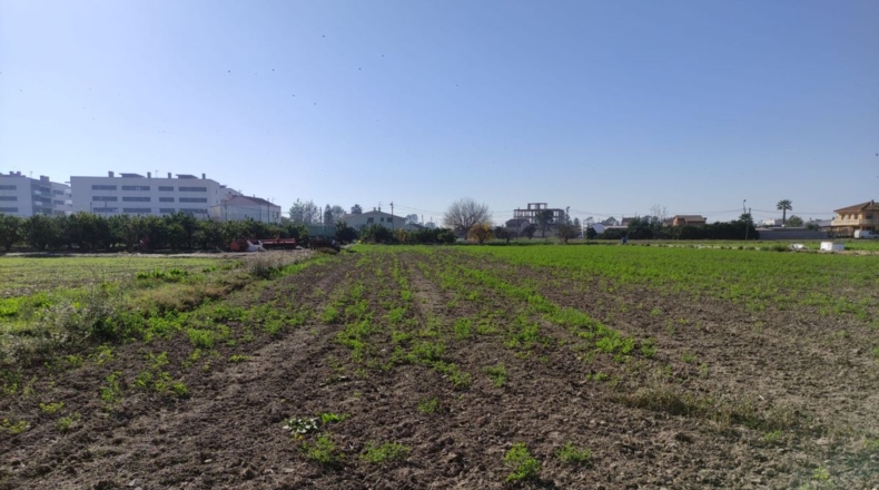 Tarragona - Deltebre - 4220m2