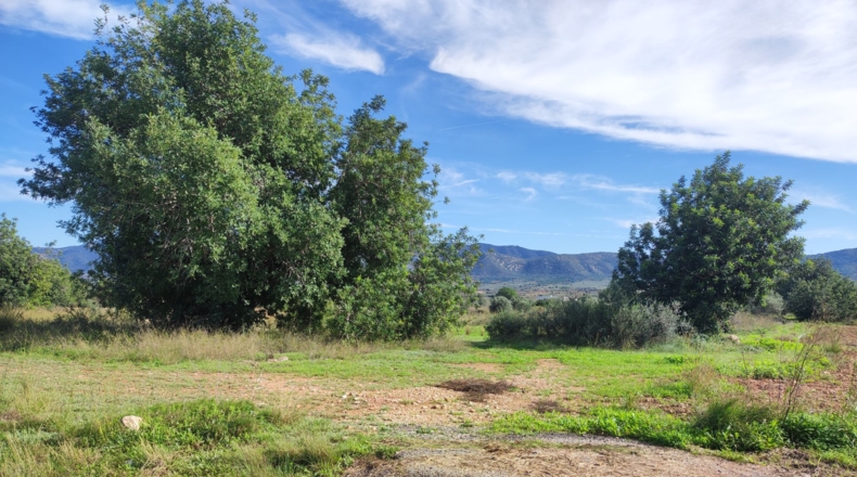 Tarragona - Godall - 28294m2