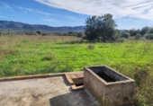 Non-developable land for sale in Ulldecona ref: TR182462 photo
