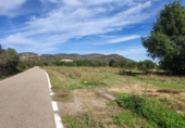 Non-developable land for sale in Ulldecona ref: TR182462 photo