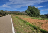 Non-developable land for sale in Ulldecona ref: TR182462 photo