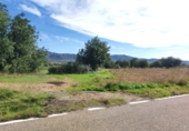 Non-developable land for sale in Ulldecona ref: TR182462 photo