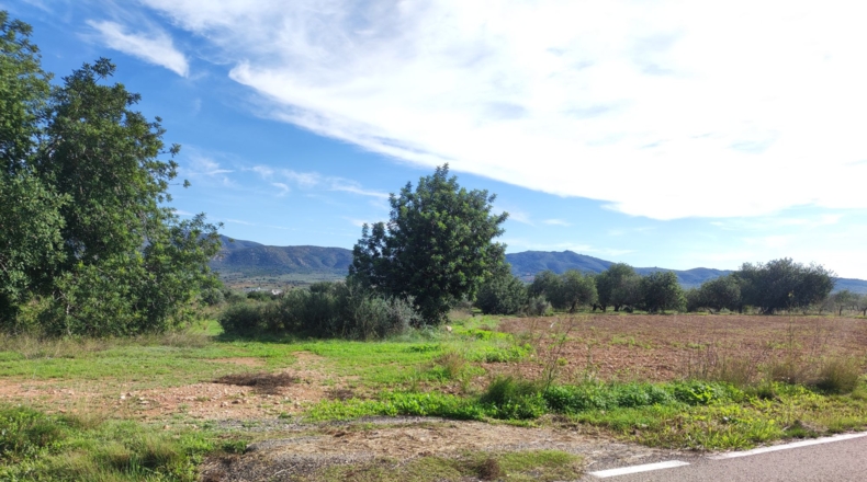 Tarragona - Godall - 28294m2