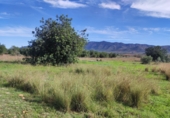 Non-developable land for sale in Ulldecona ref: TR182462 photo
