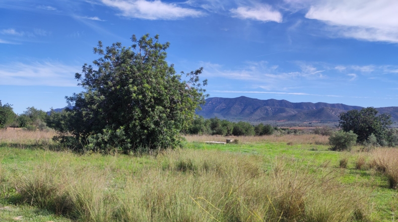 Tarragona - Godall - 28294m2