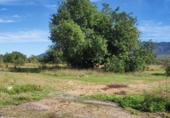 Non-developable land for sale in Ulldecona ref: TR182462 photo