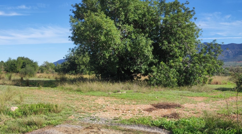 Tarragona - Godall - 28294m2