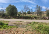 Non-developable land for sale in Ulldecona ref: TR182462 photo