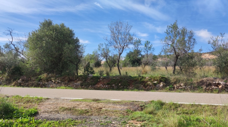 Tarragona - Godall - 28294m2