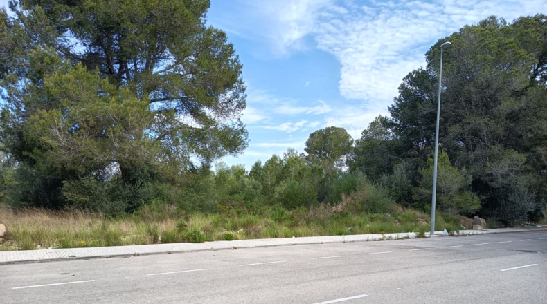 Castellón - Vinaroz - 18519m2