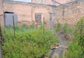 Industrial warehouse for sale on España, Alcanar, ref: TR48658 photo