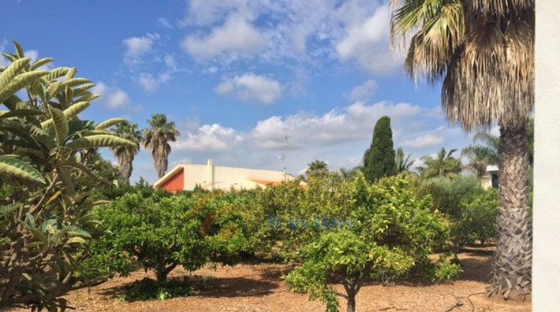 Castellón - Benicarló - 4m2