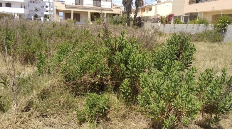 Castellón - Peñíscola - 500m2