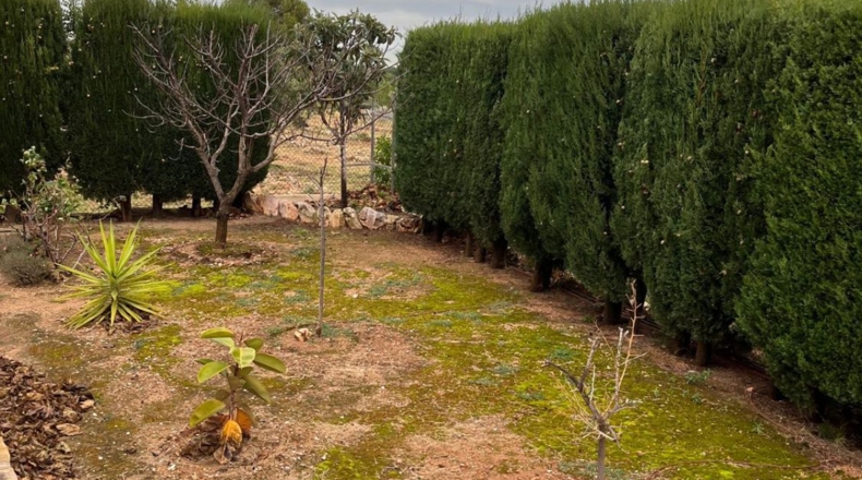 Castellón - Peñíscola - 200m2