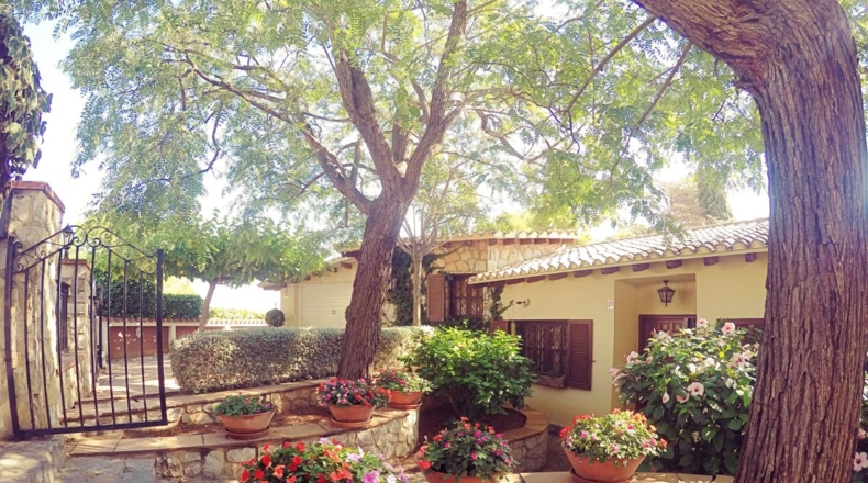 Castellón - Peñíscola - 1500m2
