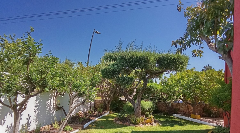 Castellón - Peñíscola - 300m2