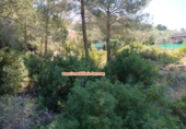 Sòl urbà en venda a Dénia ref.: TR71858 foto