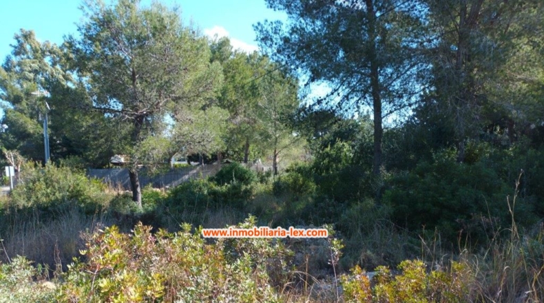 Alicante - Denia - 2218m2
