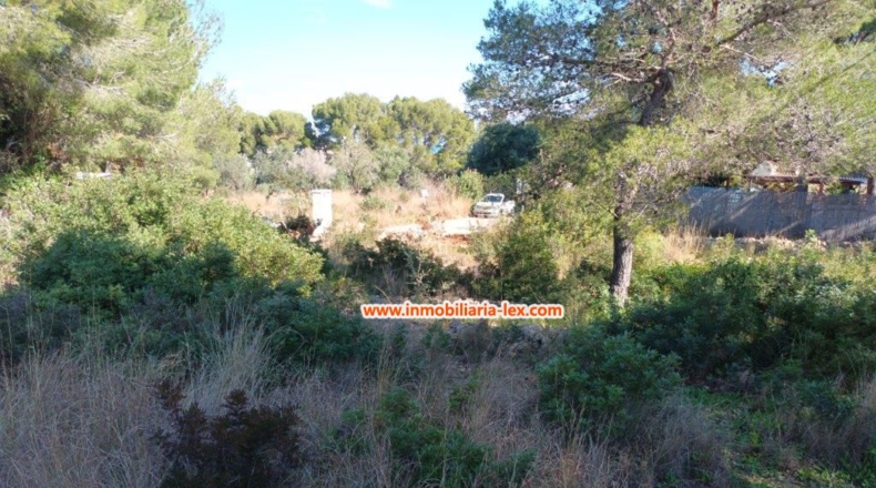 Alicante - Denia - 2218m2