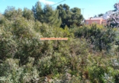 Sòl urbà en venda a Dénia ref.: TR71858 foto