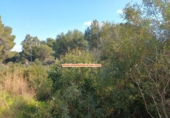 Sòl urbà en venda a Dénia ref.: TR71858 foto