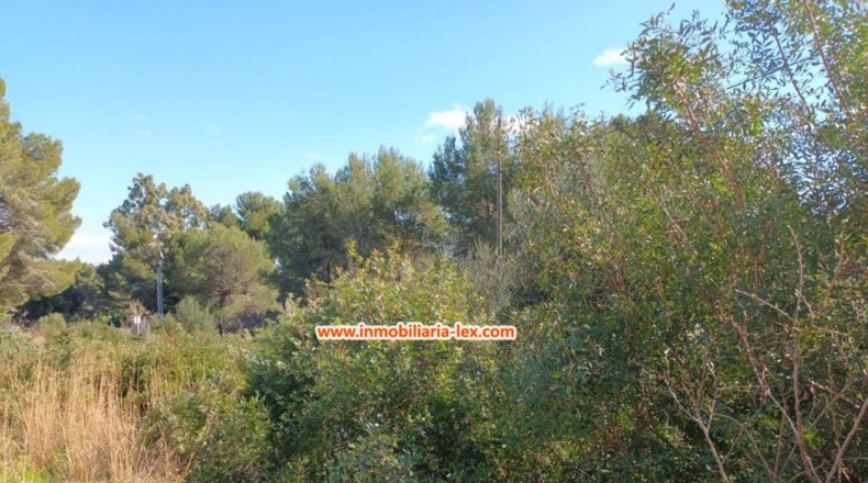 Alicante - Denia - 2218m2