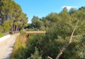 Sòl urbà en venda a Dénia ref.: TR71858 foto