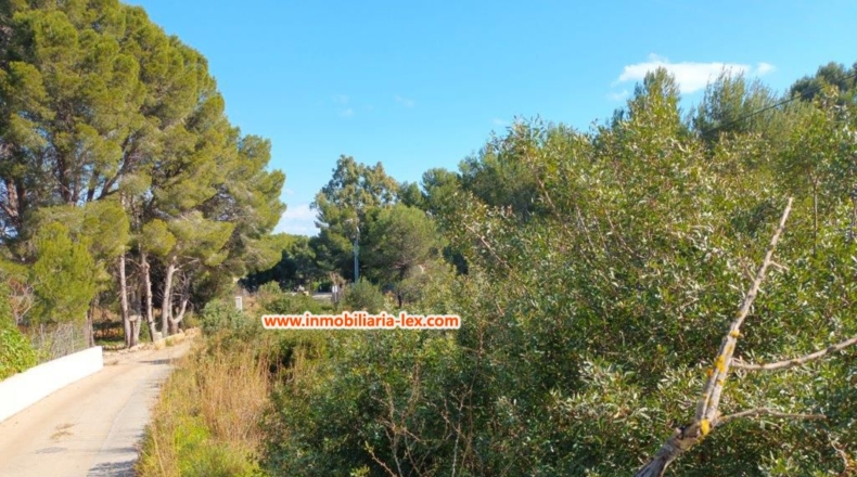 Alicante - Denia - 2218m2