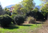 Xalet independent amb terreny en venda a Dénia ref.: TR102999 foto