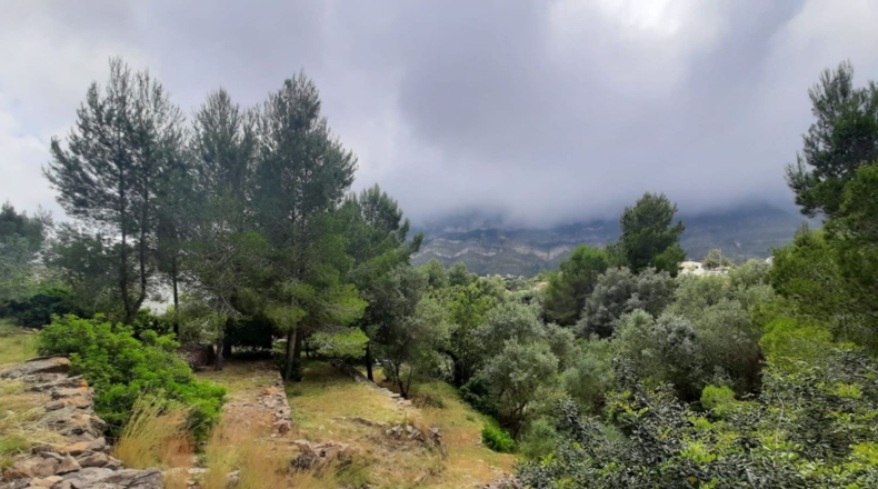 Alicante - Denia - 972m2