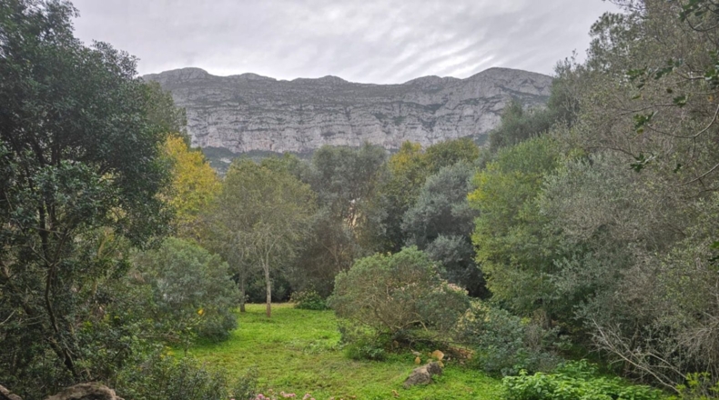 Alicante - Denia - 972m2