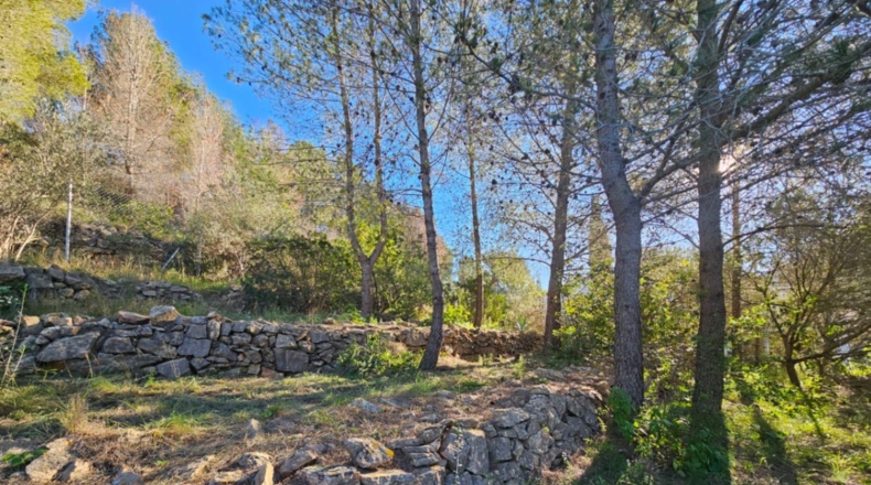 Alicante - Denia - 972m2