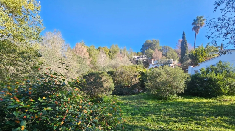Alicante - Denia - 972m2