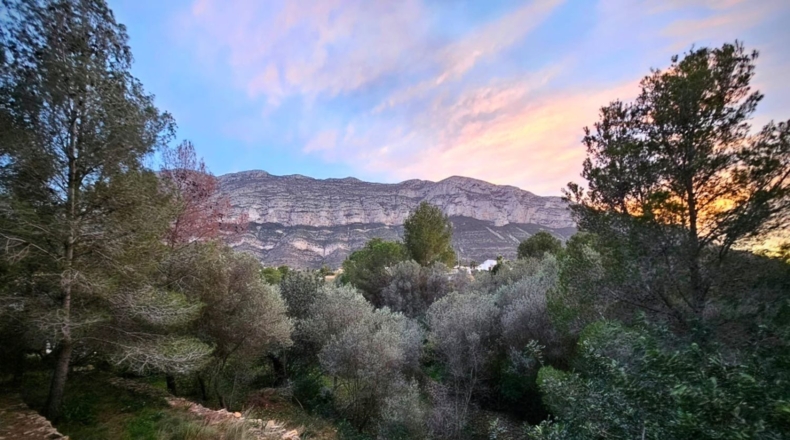 Alicante - Denia - 972m2