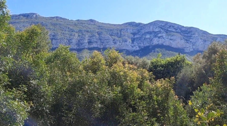 Alicante - Denia - 972m2
