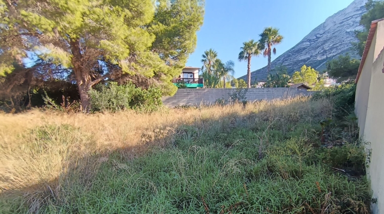 Аликанте - Denia - 822m2